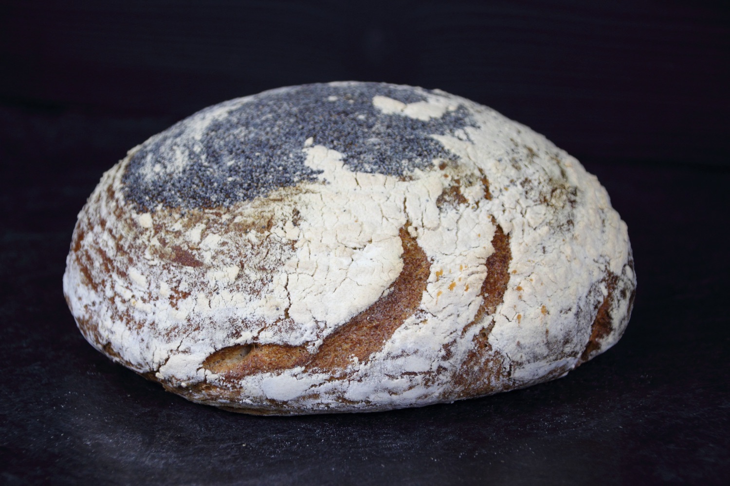 Pane Back Ferment integrale